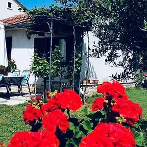 Benassi , Poreč Kroatien