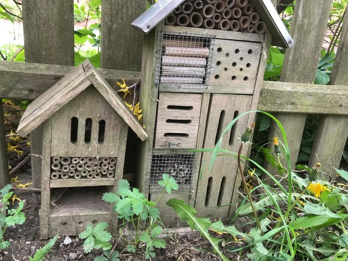 Ferienwohnung Mintbraun Waldkirchen